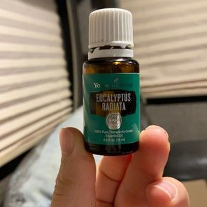 Young Living Eucalyptus Radiata essential oil